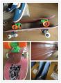 ͵PENNYȥܡɤꥨʥ˥å쥯о졪¨ȯ˥å쥯pny-004 PENNY SKATEBOARD/ڥˡۥȥܡ PENNY COMPLETE ORGANIC 22" ڥˡץ꡼ 㥱դפξʥӥ塼ܺ٤򸫤