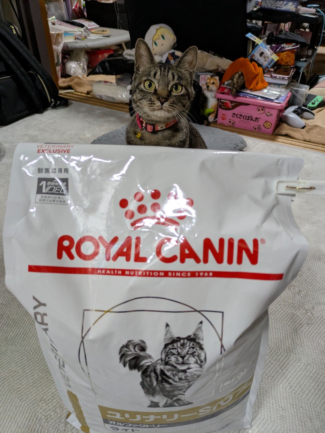 【新品未開封】ロイヤルカナン ユリナリーS/O オルファクトリーライト猫4キロ 41kiKQbaaqL.jpg_BO30,255,255,