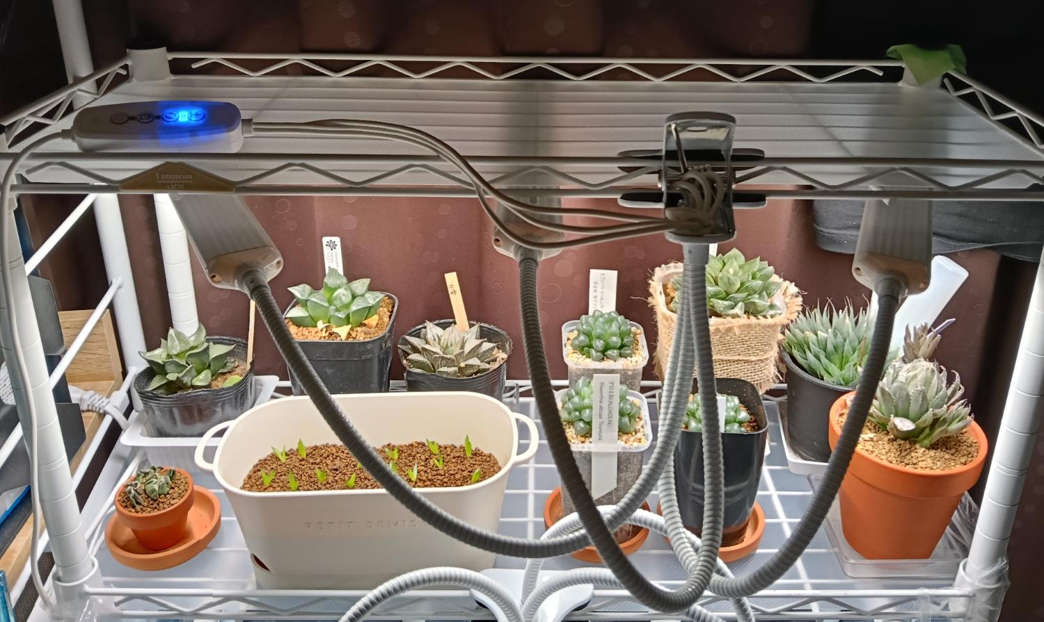 楽天市場】BRIM(ブリム) 公式 FLORA 3ヘッド 植物育成ライト LED 雑誌