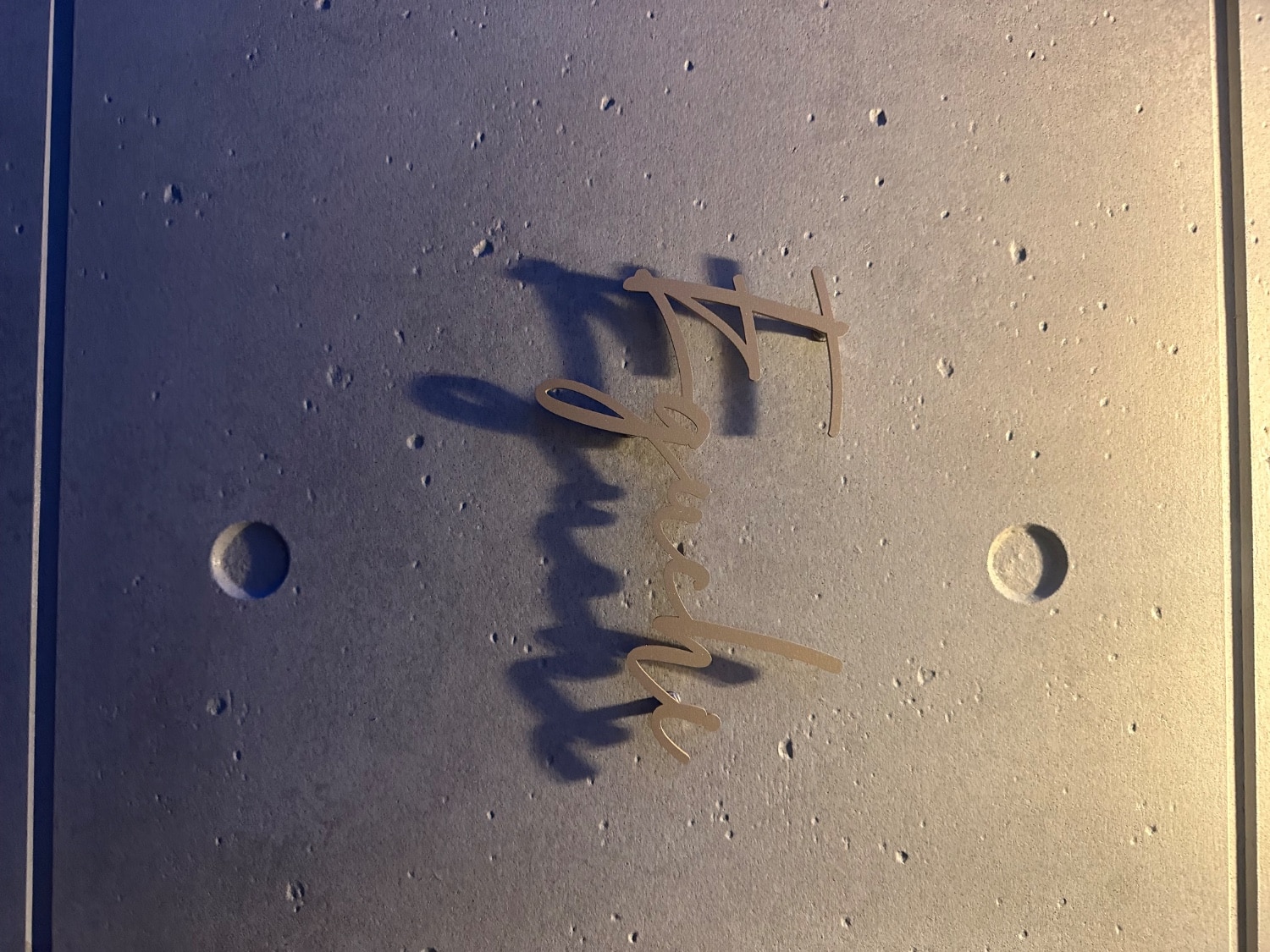 ステンレス表札 手書き風表札 切り文字表札 レビュー画像19