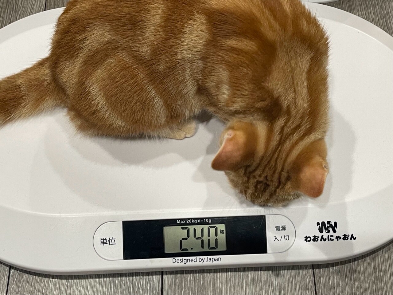 ＼雑誌掲載商品／ ペット体重計 わおんにゃおん 猫体重管理 レビュー画像15