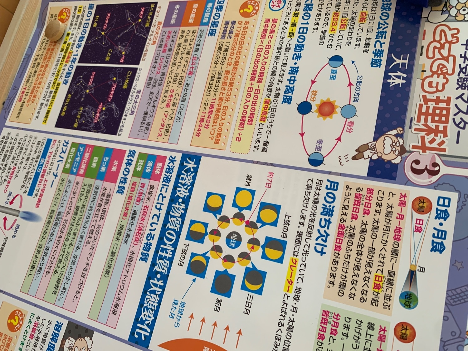 購入者レビュー写真