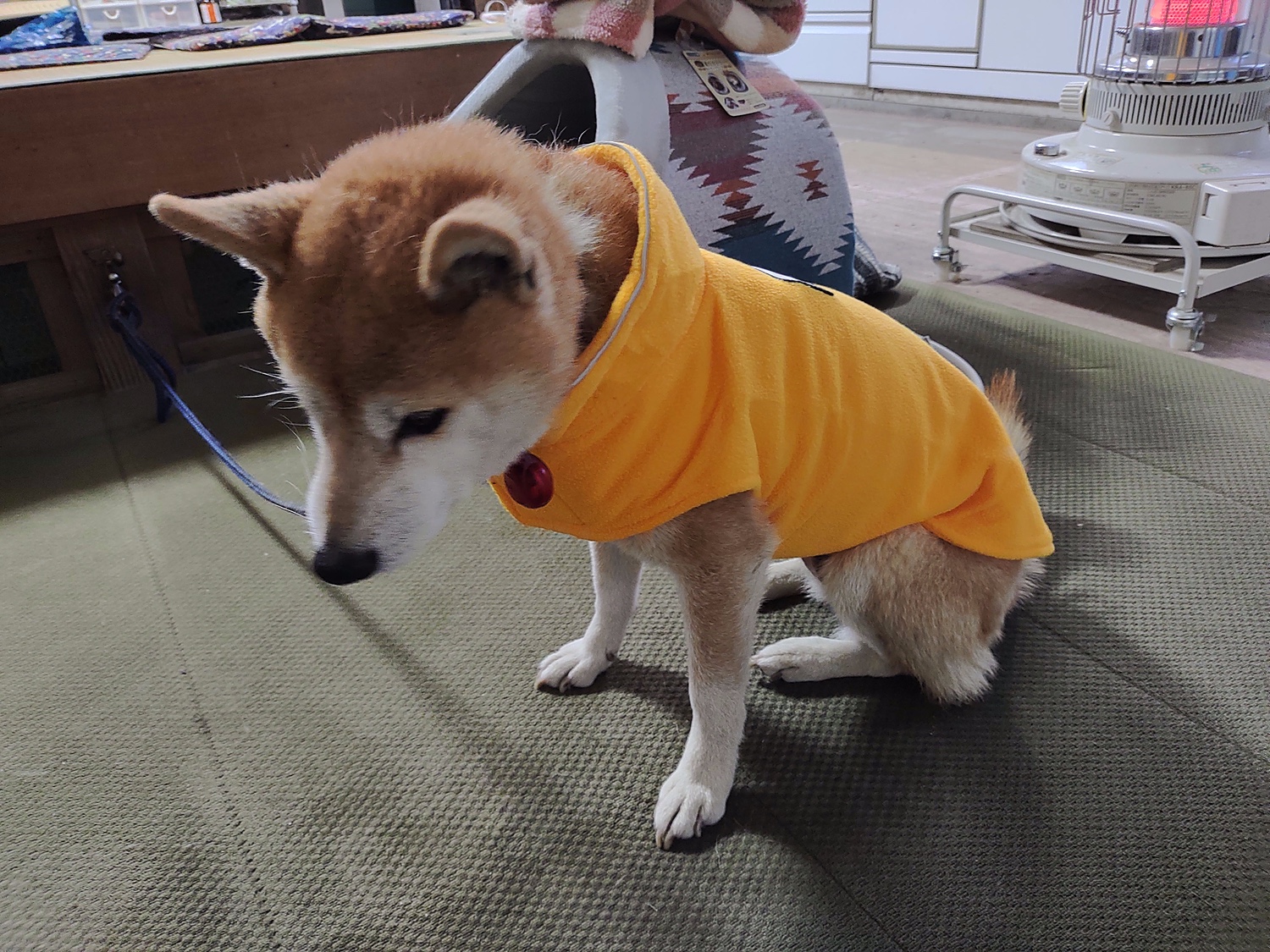 楽天市場 犬 服 フリース モコモコ もこもこ 犬服 いぬ 犬の服 アウター 袖なし 袖無し 着せやすい 足を通さない マジックテープ ジャケット 暖かい 毛布 秋 冬 秋冬 秋服 冬服 秋物 冬物 冬用 男の子 小型犬 中型犬 はっぴーdog 可愛い犬服屋さん みんなの