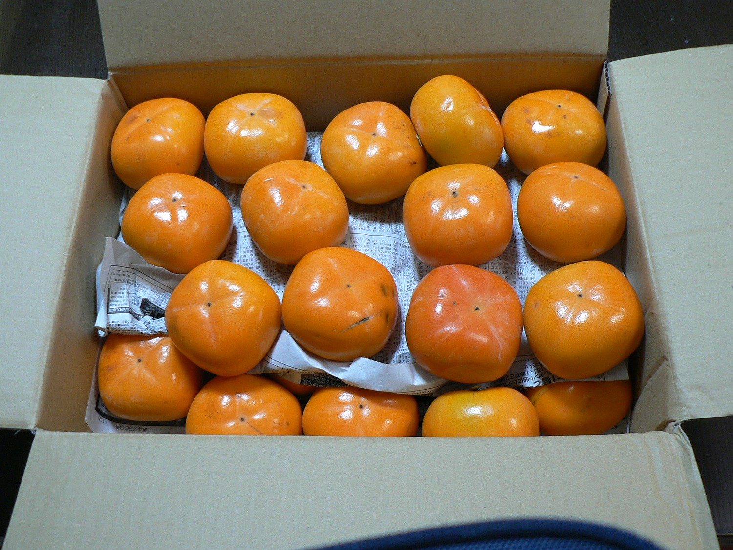 正規販売店】 山形県産 柿 庄内柿 5kg ご家庭用 30玉〜45玉入り <br><br>