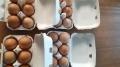「秋田の鶏卵1,296円庭鶏の卵1ケース6個入を4ケース24個で1,296円 送料込 【RCP】玉子」の商品レビュー詳細を見る