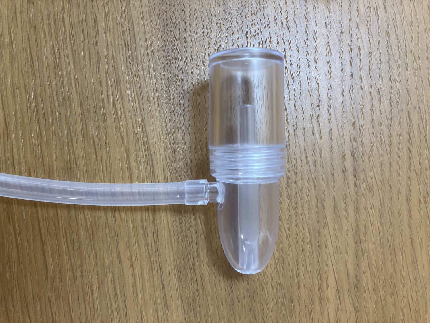 ちぼじ CHIBOJI 知母時 レビュー画像19