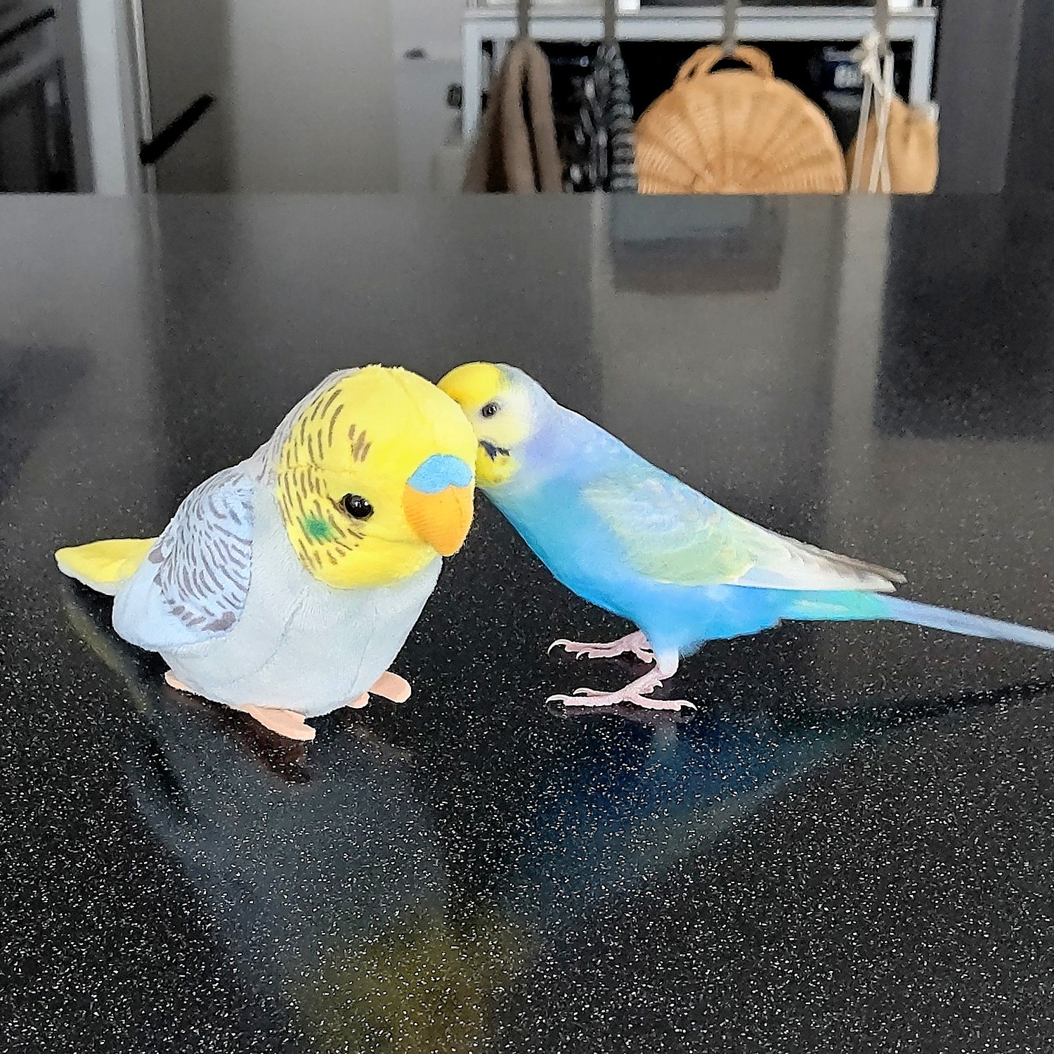 H8 インコ 鳥 おもちゃ バードトイ バルサ かじり木 カジカジ ガジガジ