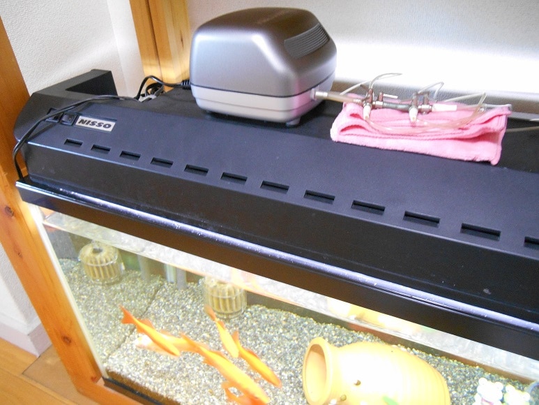 楽天市場 キョーリン ハイブロー C 8000 ヒューズ プラス キスゴムとエアーチューブのおまけつき 沖縄別途送料 関東当日便 Charm 楽天市場店 みんなのレビュー 口コミ