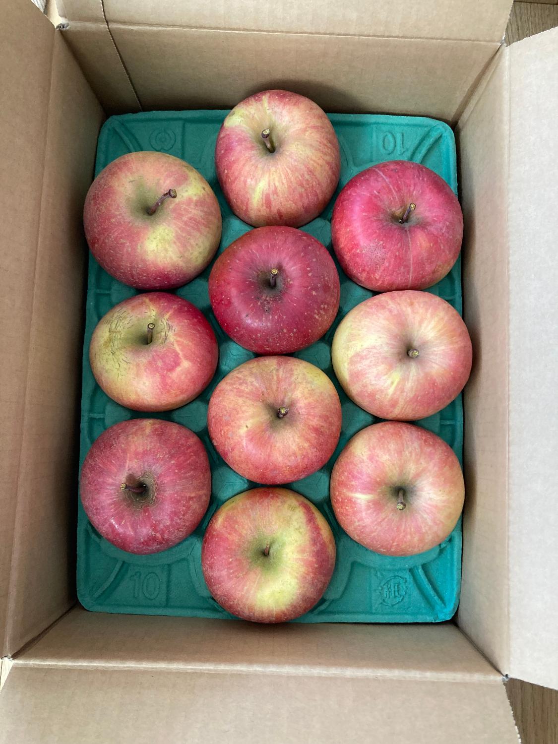 ふるさと納税 訳ありりんご サンふじ レビュー画像4