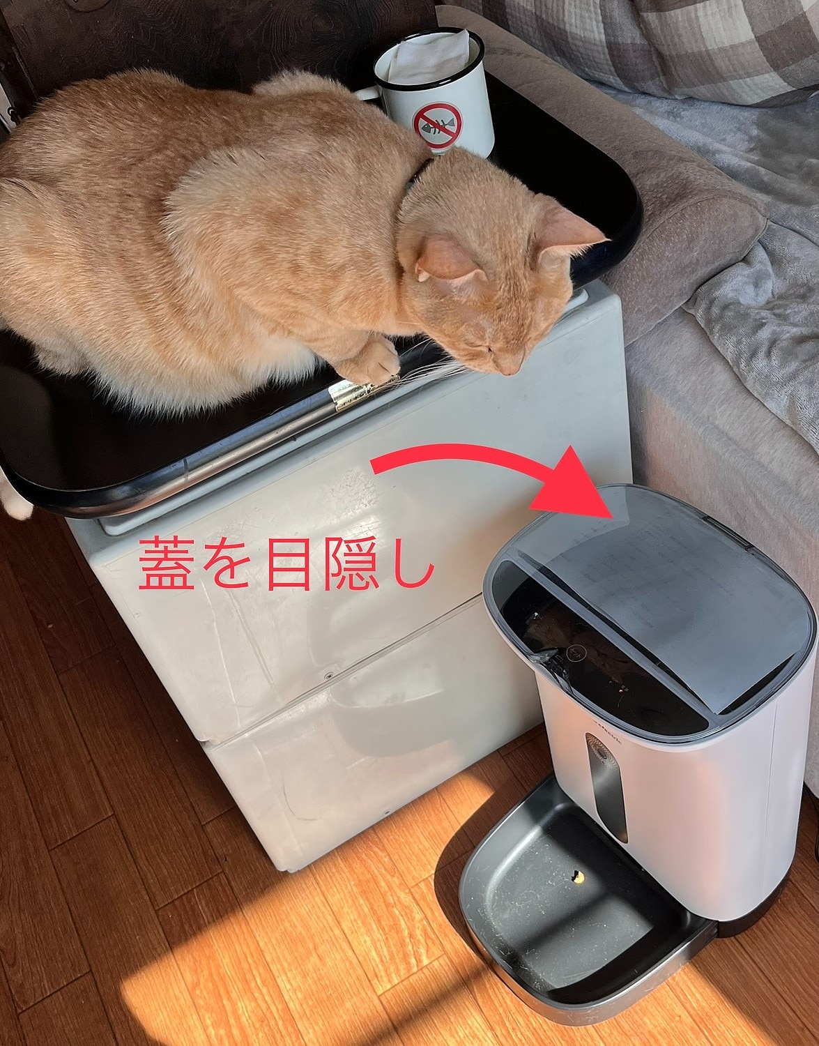 楽天市場】【本製品は販売終了しました】カリカリマシーンSP 猫 犬