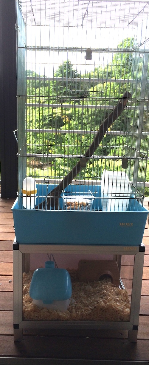 リスくんマンションセット(リス、ハムスター、モモンガ等小動物用ケージ) リスくんのマンション リス モモンガ