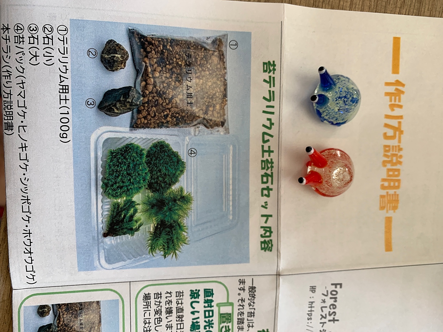 楽天市場 自分好みの容器 家に余って使わない容器をインテリア雑貨 苔テラリウム へと生まれ変わらせる 苔テラリウム 苔4種 用土 石 作り方説明書 セット 苔 パック オブジェ 自作 手作り 初めて 初心者 観葉植物 中身 ガラス容器別 キット こけ 作り方 ハンドメイド 楽天市場 自分好みの容器 家に余って使わない容器をインテリア雑貨 苔テラリウム へと生まれ変わらせる 苔テラリウム 苔4種 用土 石 作り方説明書 セット 苔 パック オブジェ 自作 手作り 初めて 初心者 観葉植物 中身 ガラス容器別 キット こけ 作り方 ハンドメイド