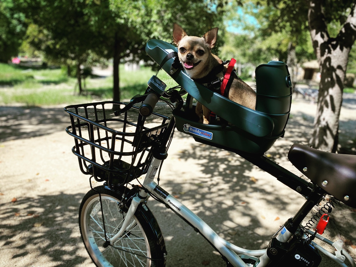 Buddyrider(バディーライダー) ◉ペット用自転車シート - 犬用品