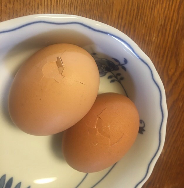 楽天市場】平飼い有精卵 40個(広島県 はやしなちゅらるふぁーむ)送料無料・産地直送・健康たまご(ふるさと21) | みんなのレビュー・口コミ