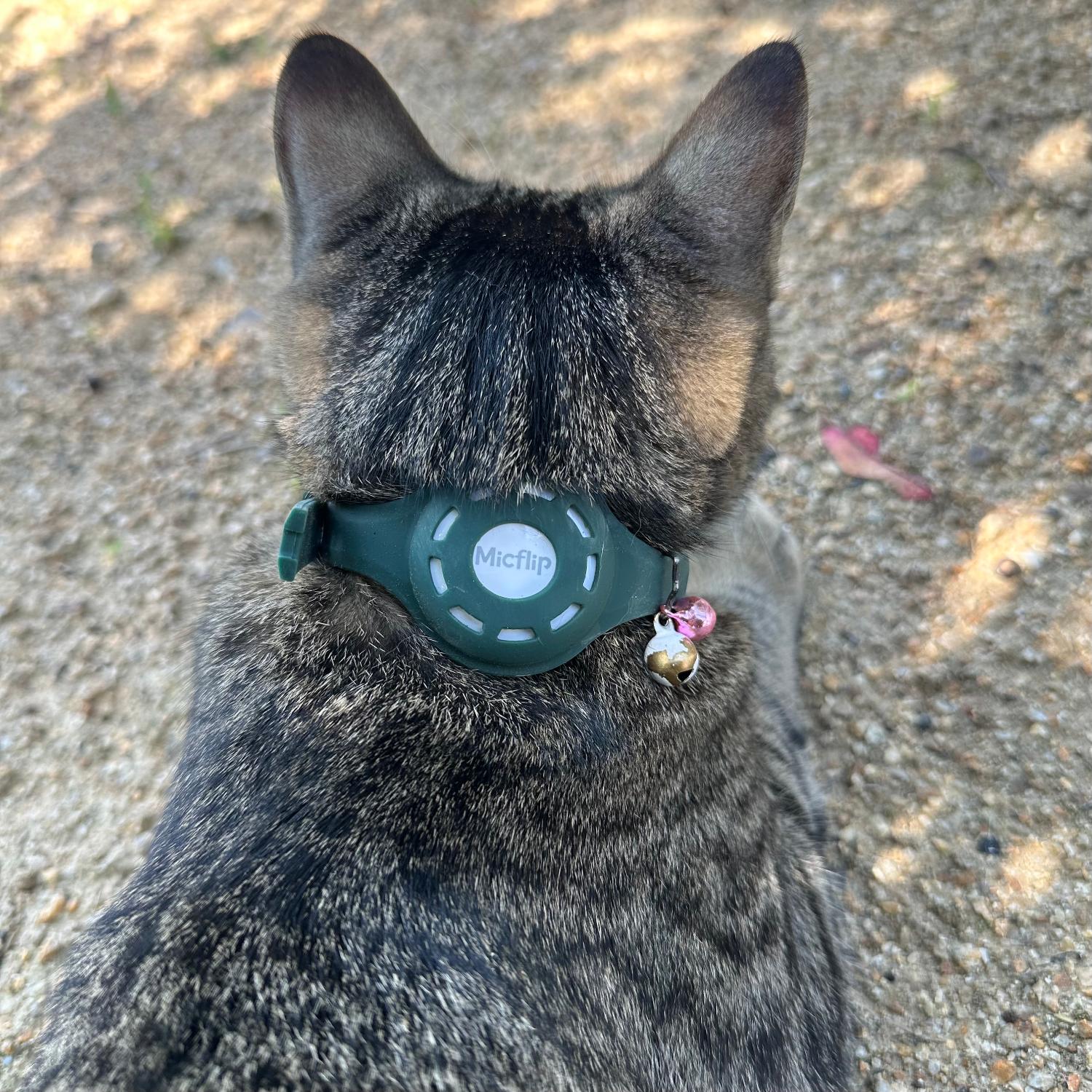 楽天市場】1,000円オフクーポン配布中！ねこどこ Airtag エアタグ 猫 