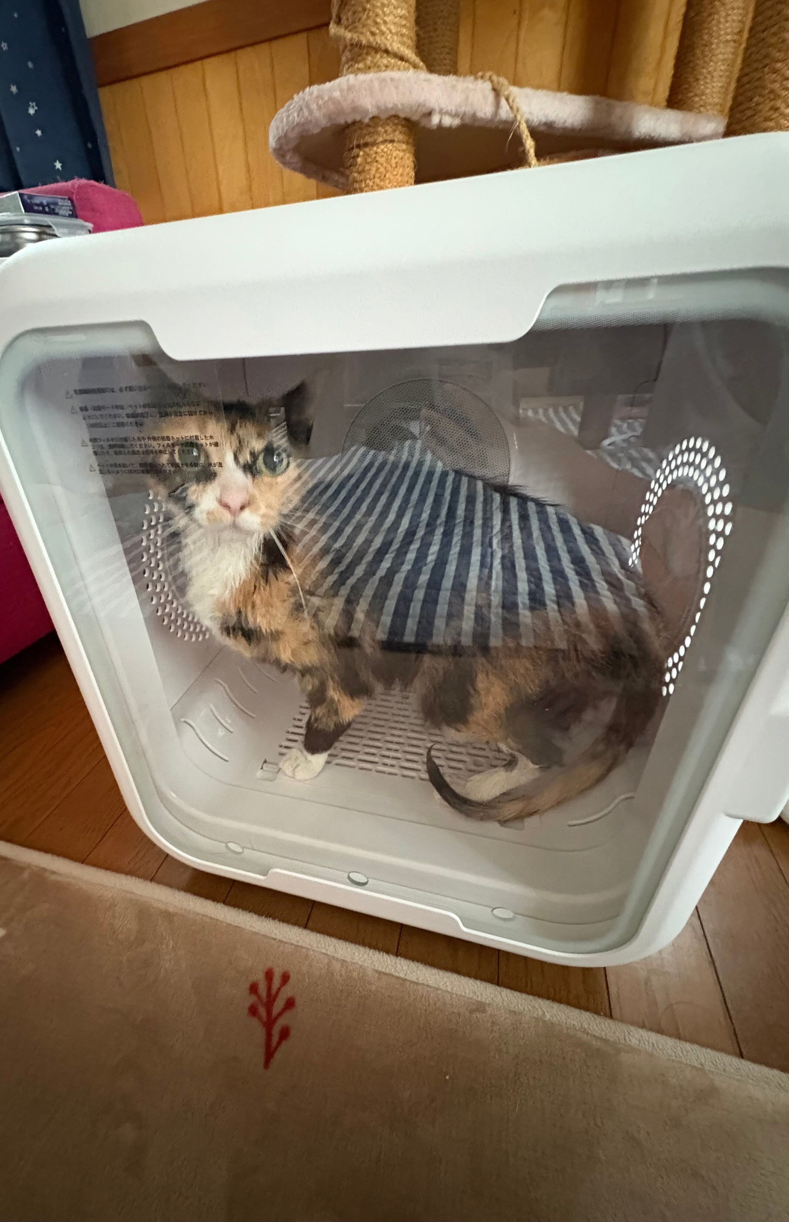 ペットドライルーム ペット乾燥機 口コミ レビュー画像17