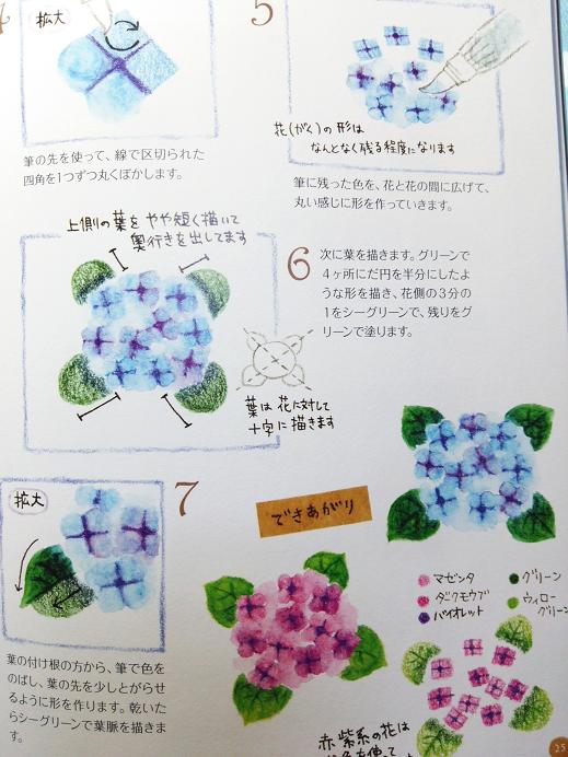 楽天市場 Kukubloomさんの バーゲン本 水彩色鉛筆のイラストあそびレシピ 珠樹 楽天ブックス みんなのレビュー 口コミ