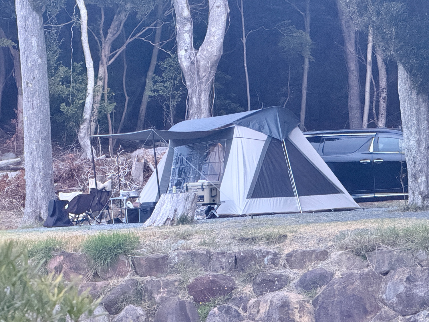 楽天市場】【LINE10%オフ＆P2倍】KODIAK CANVAS 8人用 VX