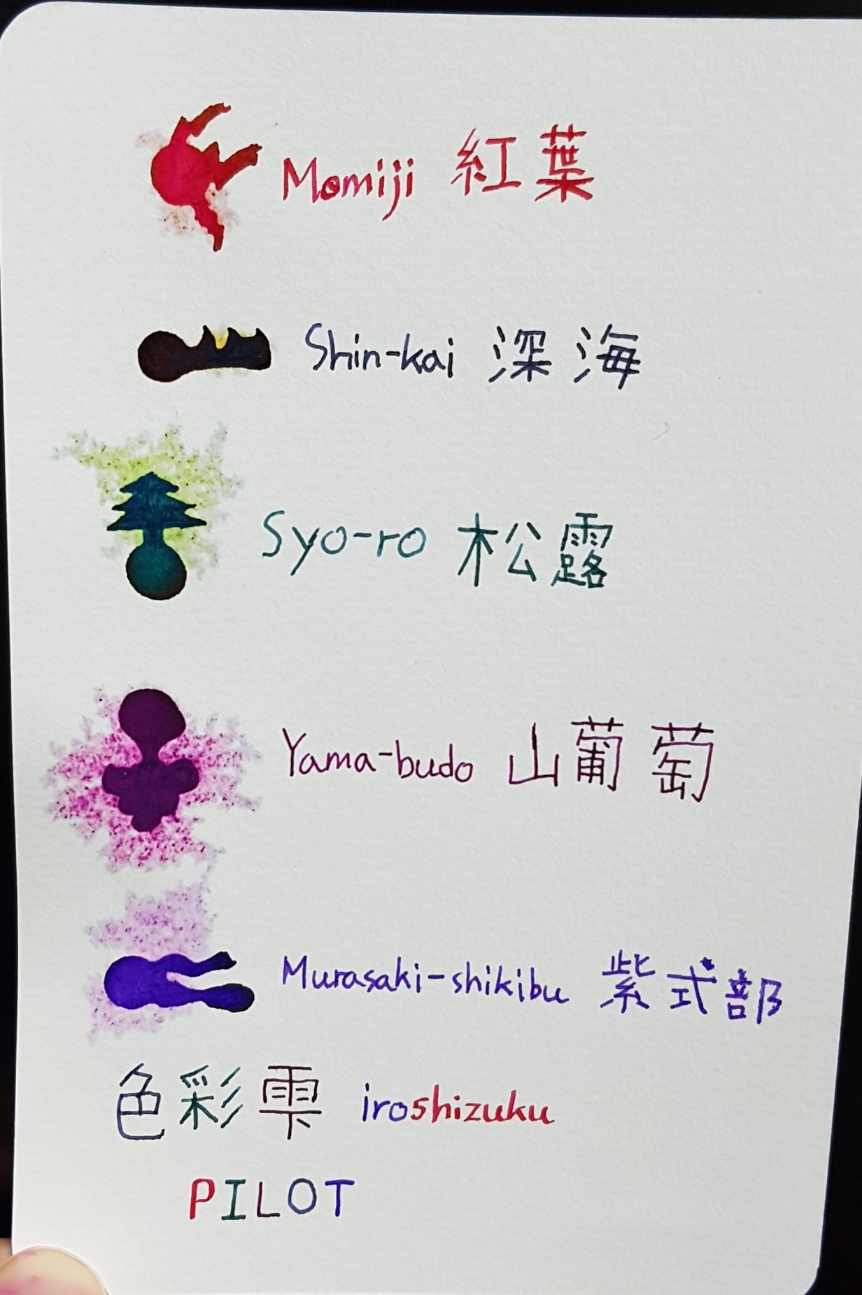 iroshizuku＜色彩雫＞ 山葡萄 - 筆記具