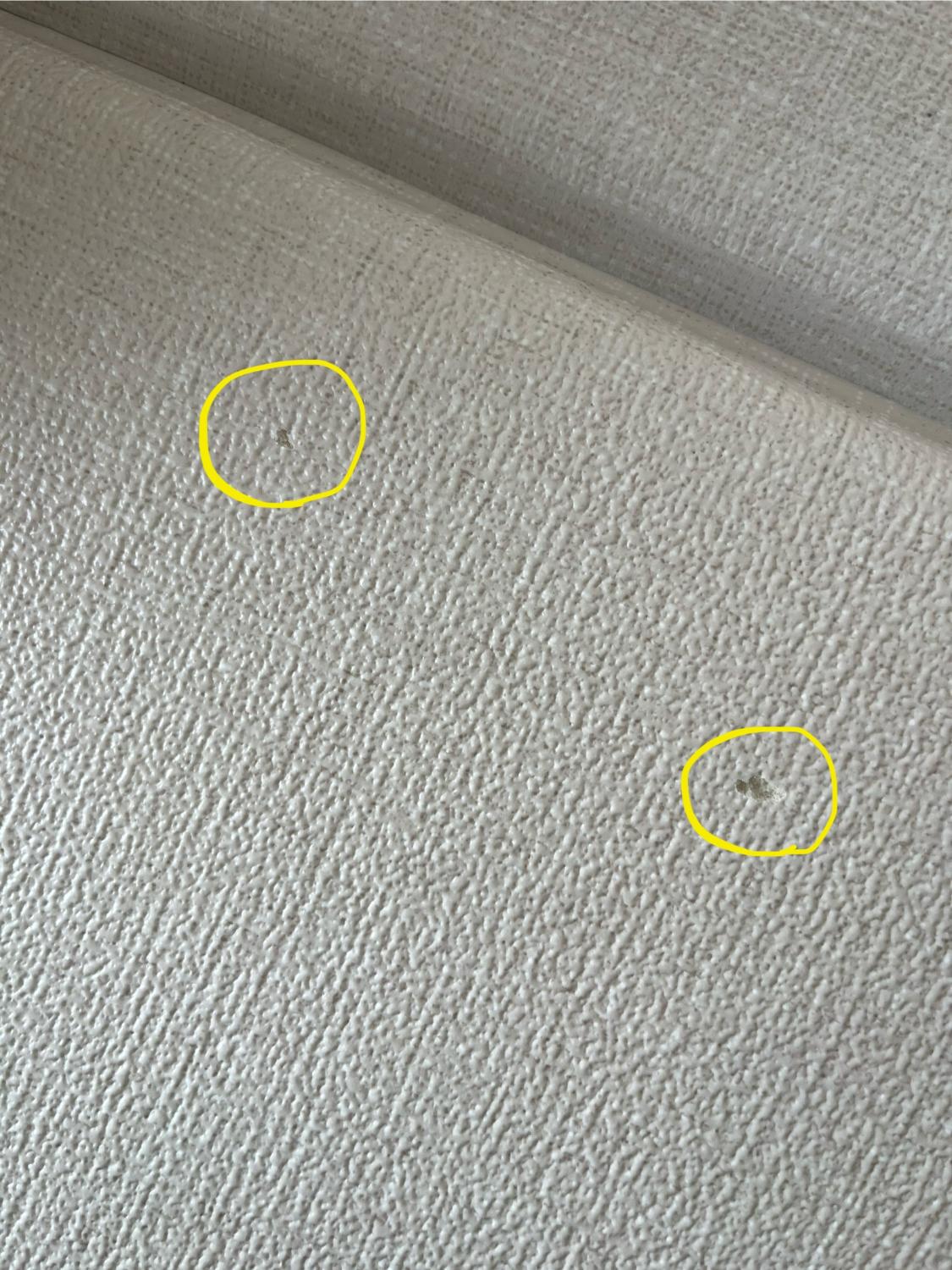 popomiプレイマット もちもちプレイマット ベビーマット口コミ レビュー画像13