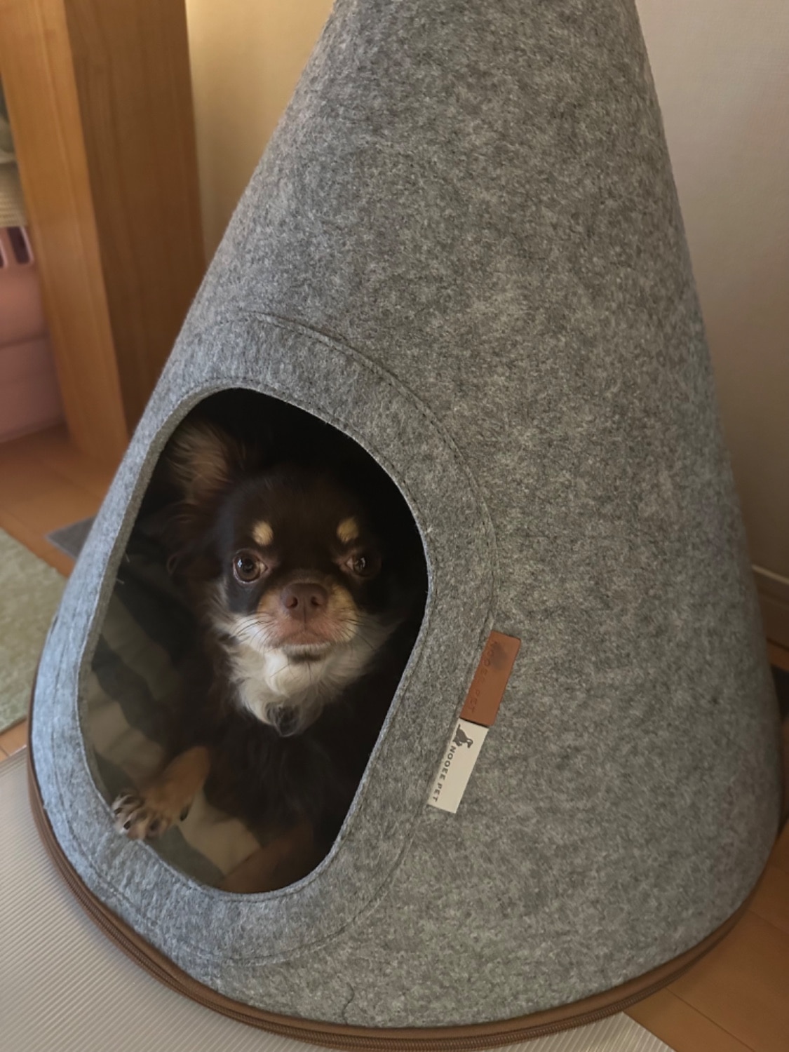 楽天市場】NOOEE PET どこでもおうちテント グレー S/M ドッグテント