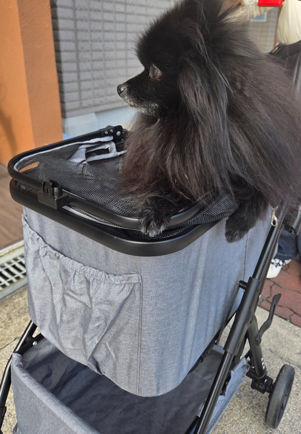購入者レビュー写真