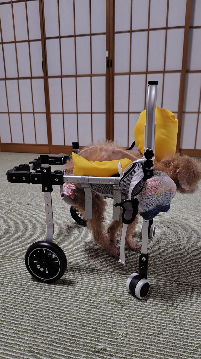 楽天市場】犬用車椅子 四輪 軽量 【ランキング1位】安定設計 歩行補助