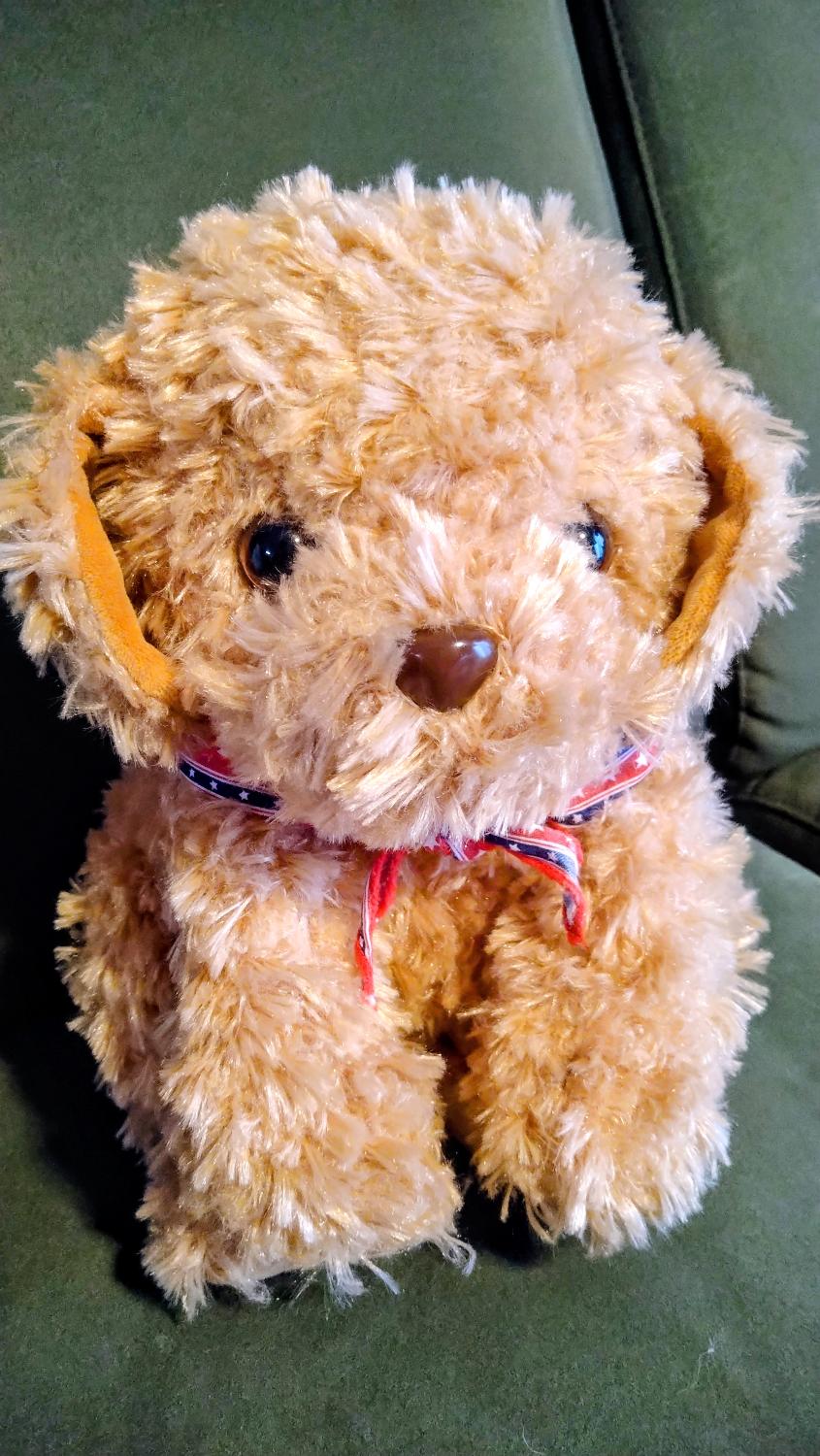 503580 音声 おしゃべりトイプードル しゃべる 犬 おもちゃ の使い方