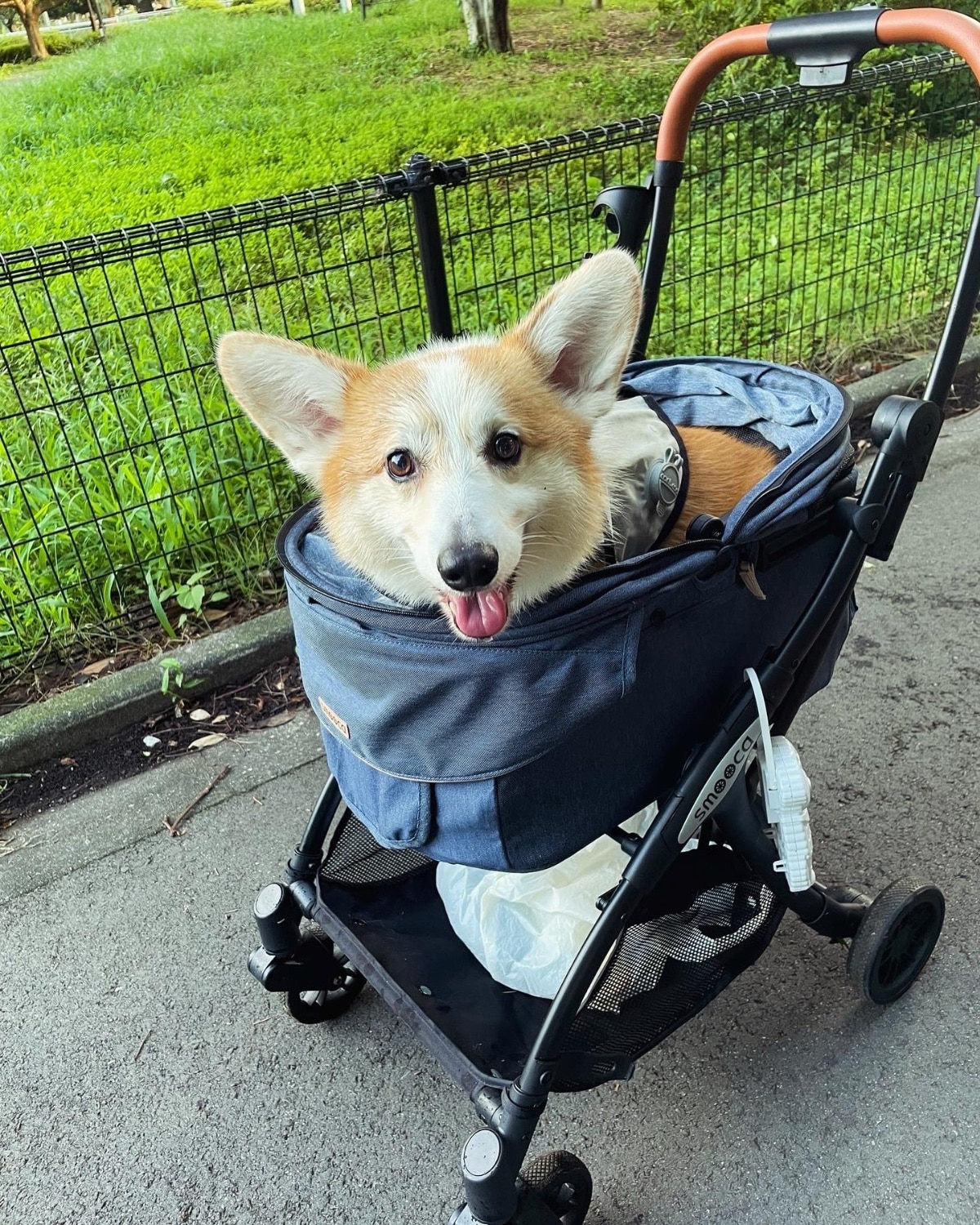 楽天市場】ペットカート 犬 カート smooca ネオ ワンロック デニム