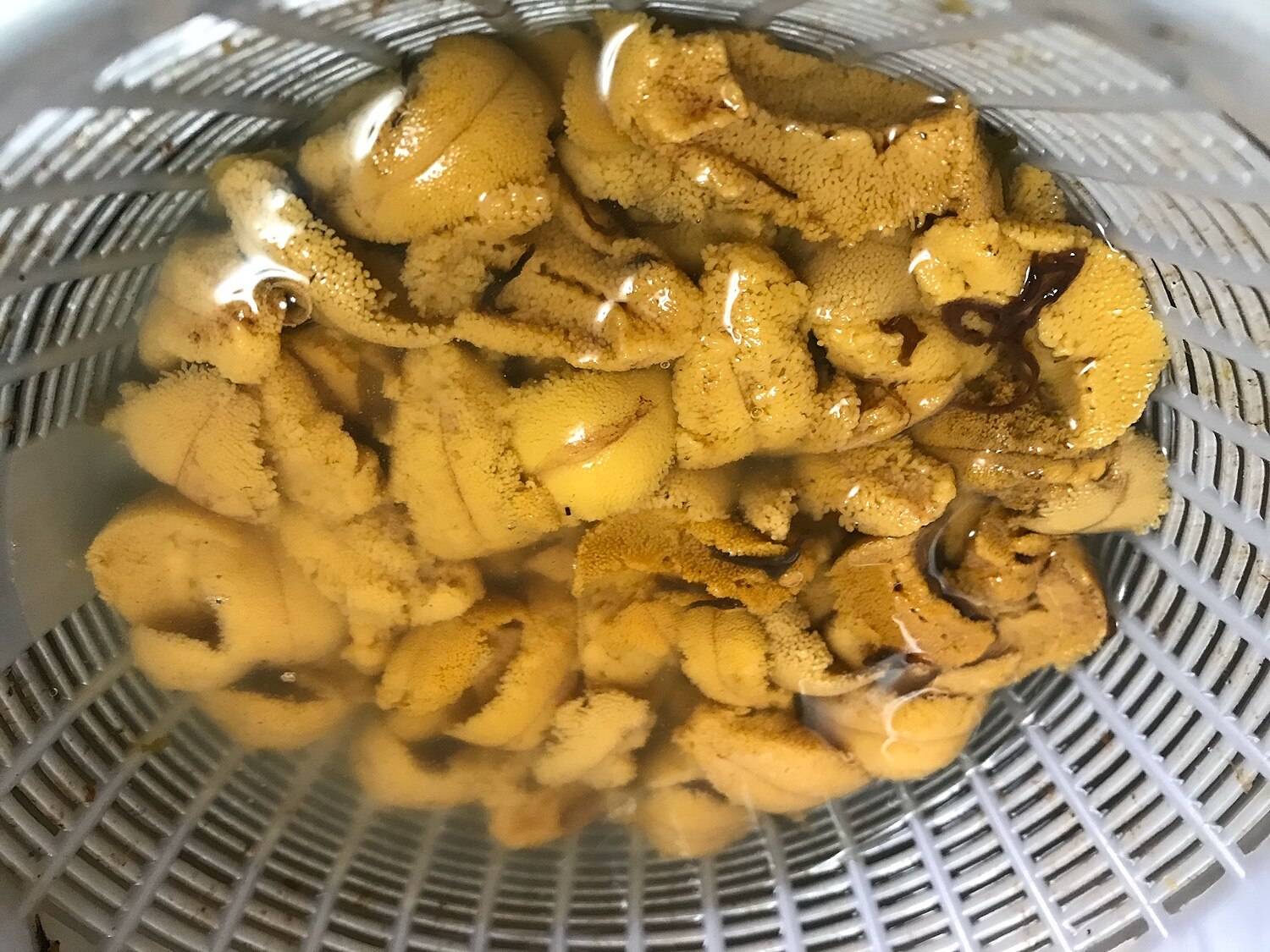 楽天市場 うに 殻付き 業務用 漁師ウニ 殻付き 雲丹 海胆 海栗 青森めぇーもん屋 みんなのレビュー 口コミ