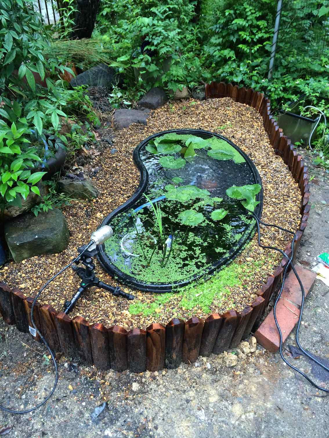 楽天市場 水生植物や魚が泳ぐ池をつくることができます 人工池 アルバlp5718 容量約190l 送料別 通常配送 Diyホームセンターハンズマン みんなのレビュー 口コミ