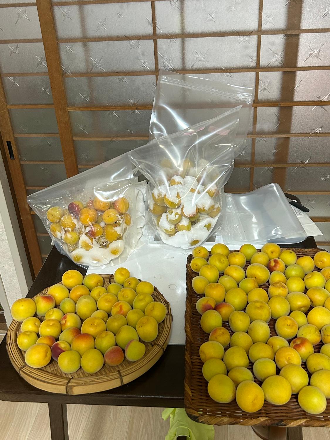楽天市場】梅干し用 梅 3kg 南高梅 完熟梅 無農薬 梅味噌 梅シロップ
