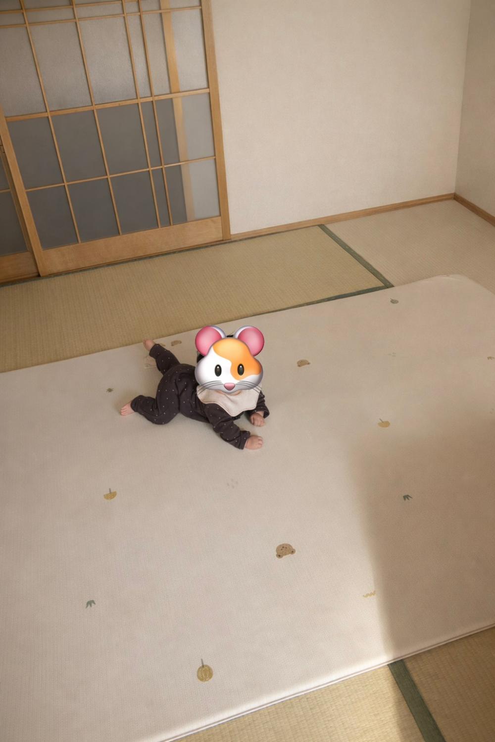 購入者レビュー写真