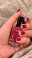 ZOYA  ͥ륫顼 ZP909 15mL Padma ڥɥ  ΰ٤˺줿 ͥ ˤ䤵  ޥ˥奢 zoya եͥ ˤ⤪ ԥ   ѡץ ͵ ȥå5פξʥӥ塼ܺ٤򸫤