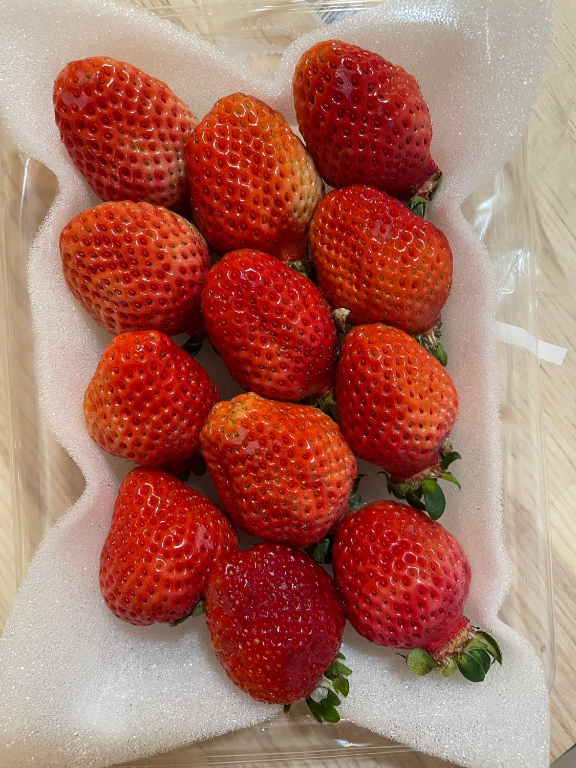 ふるさと納税 あまおう いちご レビュー画像3