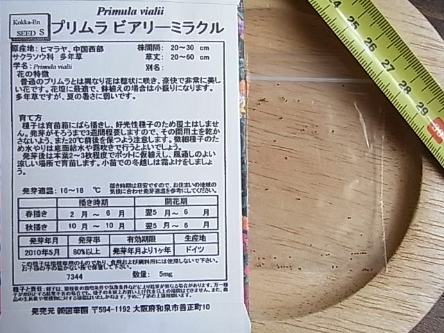 楽天市場 花たね プリムラ ビアリーミラクル 1袋 国華園 未購入を含む みんなのレビュー 口コミ