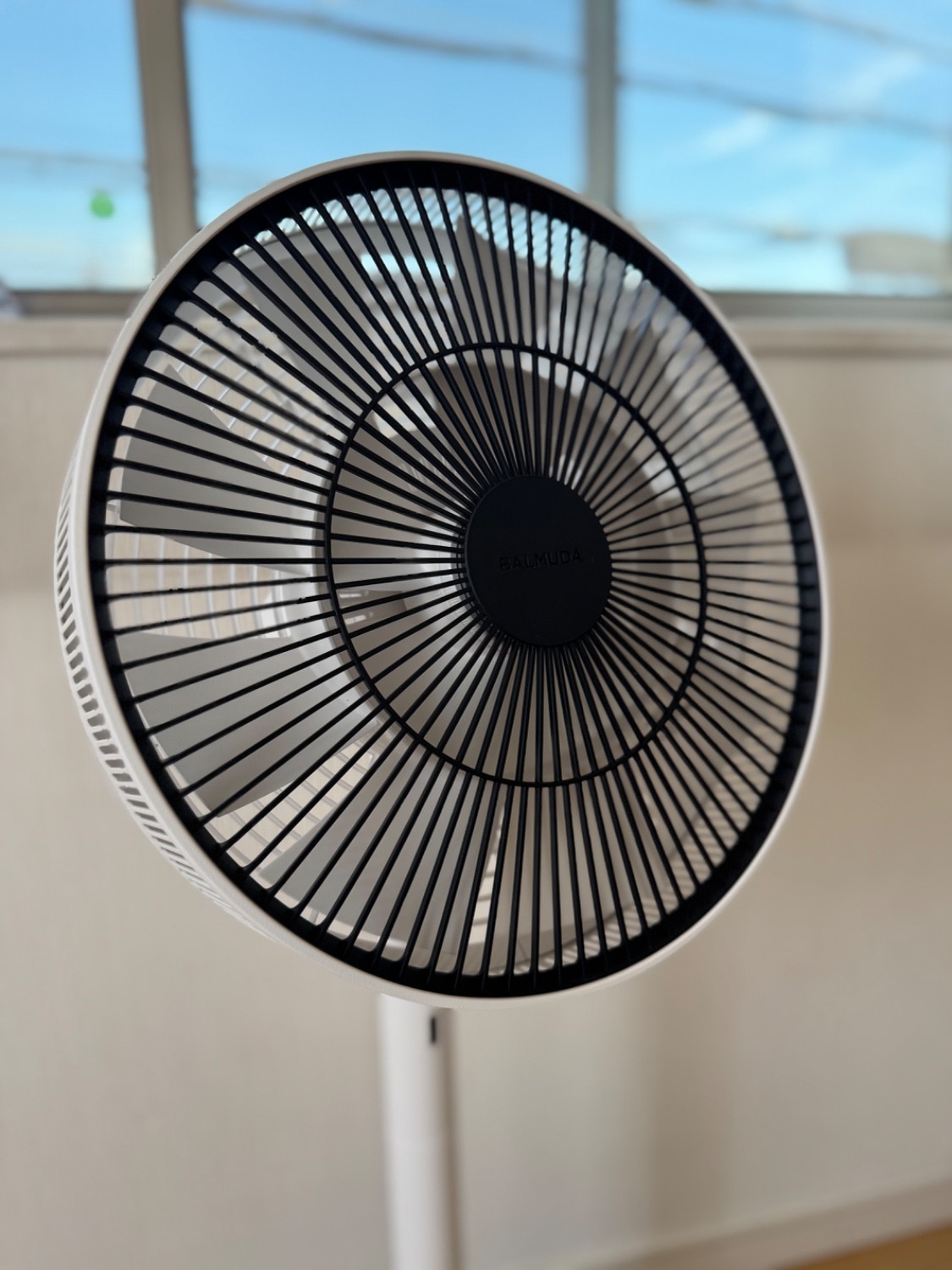 楽天市場】特典付 扇風機 おしゃれ 日本製 バルミューダ グリーン