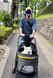 ◆SALE◆ ペットカート 分離式 大型犬 多頭 耐荷重25KG 中型犬 犬カート 分離両用 折りたたみ 多頭 中型犬  ペットカート 分離式ペットカート 中型犬カート レビュー画像8