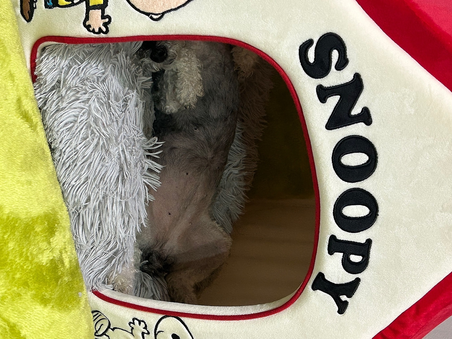 スヌーピーペットハウス 赤い屋根ハウス口コミ ペットパラダイス レビュー画像17