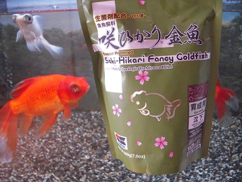 楽天市場】キョーリン 咲ひかり 金魚 育成用 沈下 200g 緑 金魚 楽天市場】キョーリン 咲ひかり 金魚 育成用 沈下 200g 緑 金魚