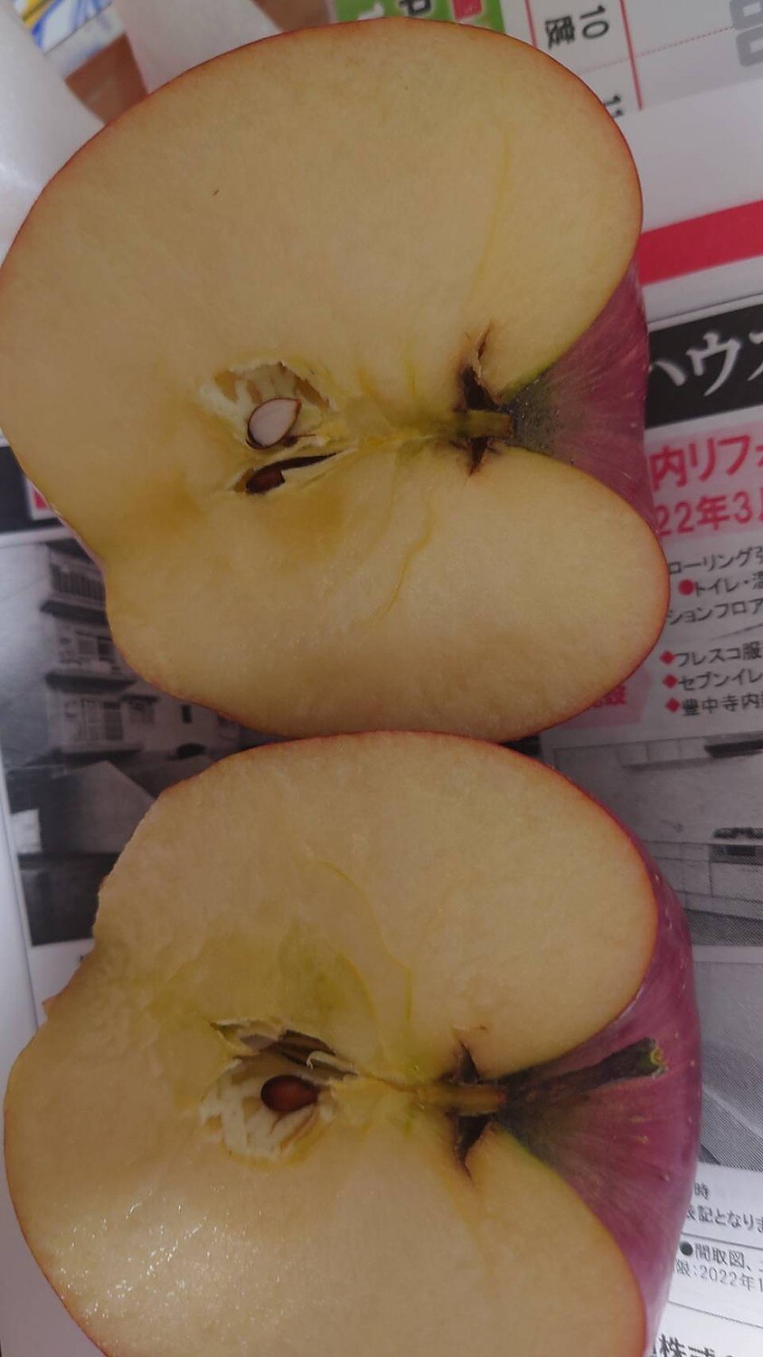 ★グルメ大賞7度受賞 高糖度サンふじ家庭用10キロ常温便送料無料 青森りんご サンふじ りんご通販 レビュー画像29