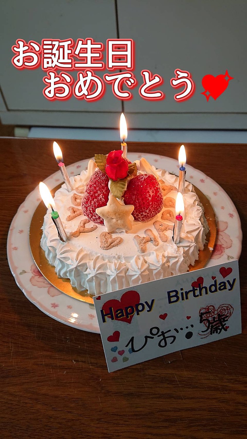 楽天市場 あす楽 犬用のお誕生日ケーキ ミニスターツリー 馬肉生地 3号直径10センチ 小さいわんちゃん食べきりサイズ 無添加安心 人気バースデーおやつギフト 小型犬 お急ぎの方 プレゼント 低カロリー シニアもおすすめ フードやごはんの代わりに 特別な記念日 帝塚山