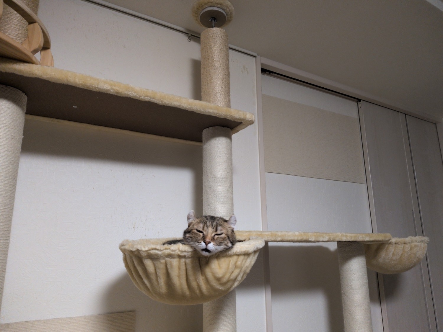 キャットツリー 猫タワー PARTHENON190 レビュー画像4
