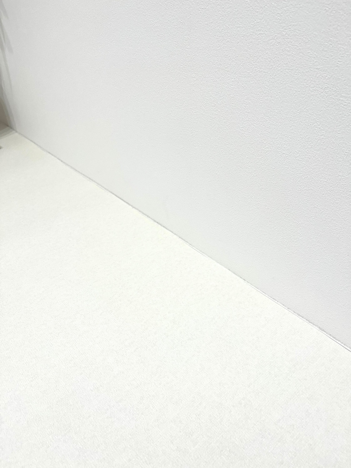 popomiペットマット ペットロールマット口コミ 犬滑り止めマット レビュー画像13