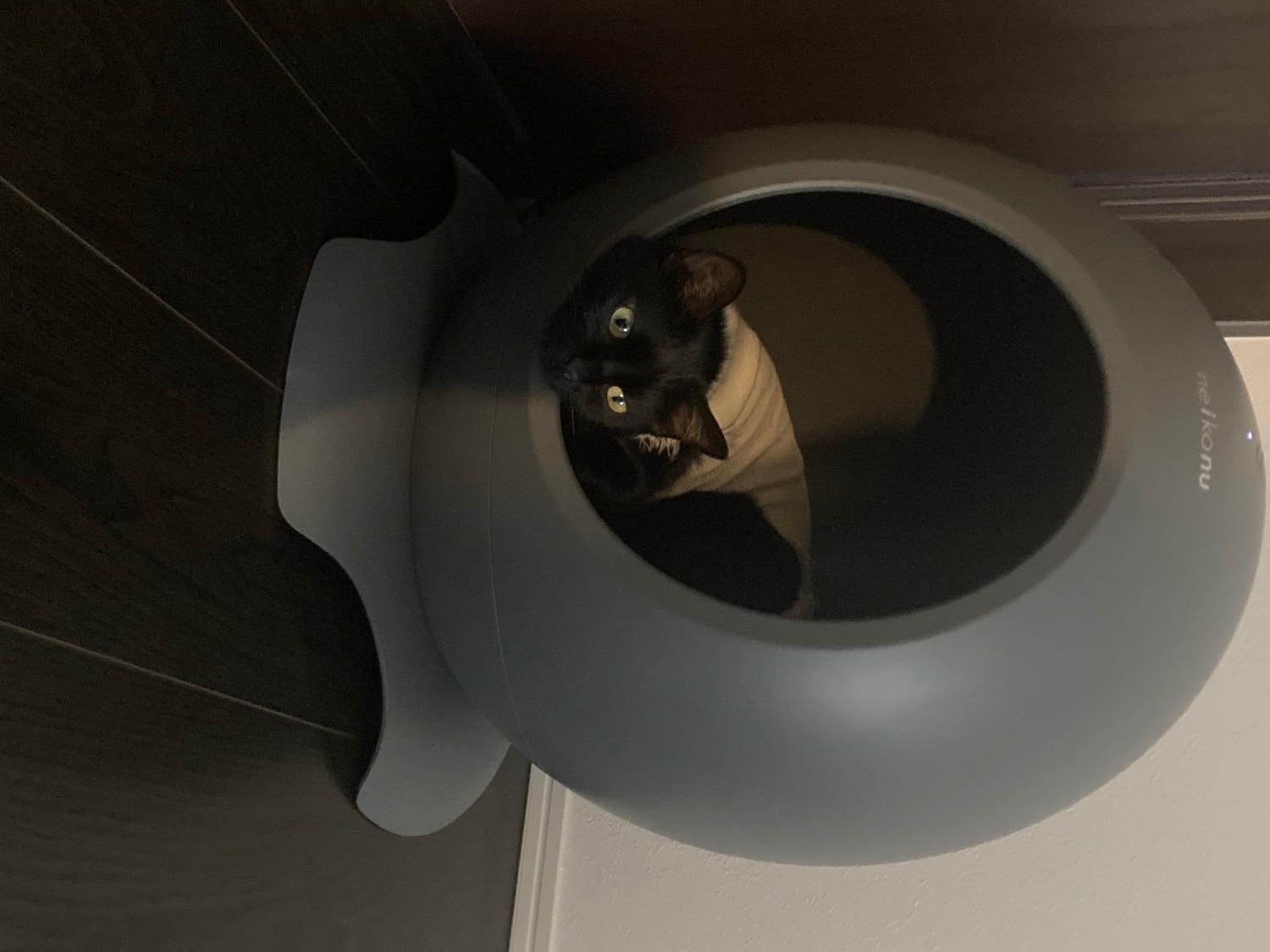 楽天市場】＼BLACK FRIDAY 20%OFFクーポン配布中／ neikonu ROOM