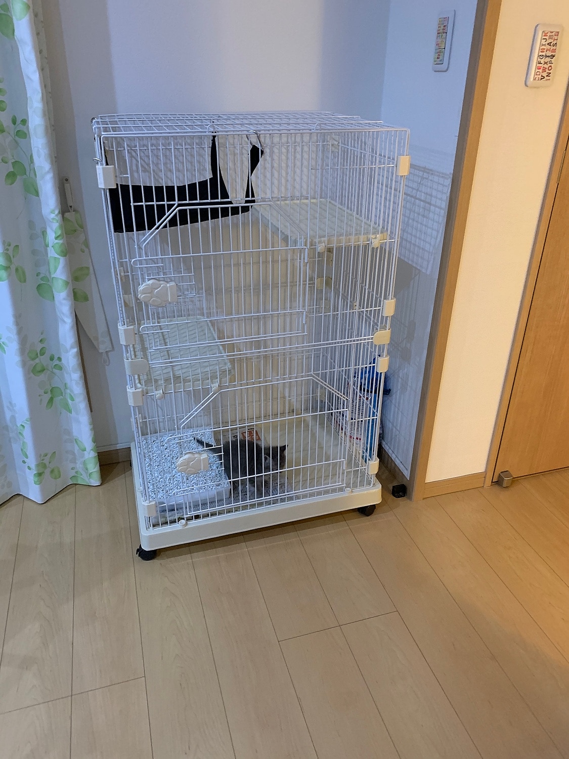 楽天市場 送料無料 ハンモック付 2段 コンパクト キャットケージ キャスター 付き ステ 猫ケージ 猫 キャット ケージ 脱走防止 ペット ゲージ キャットゲージ ペットケージ ハンモック コンパクト ねこ 子猫 ミニ スリム 小さい Storageストレージ家具インテリア
