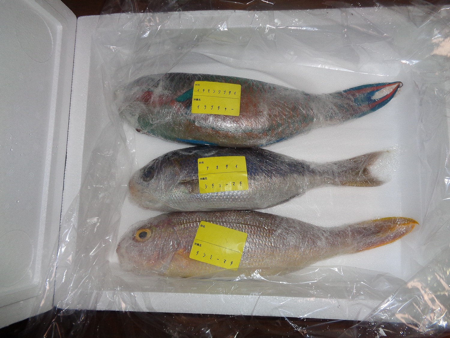 楽天市場 送料無料 おまかせ沖縄鮮魚セット2kg 2 3種類 沖縄海鮮問屋 みんなのレビュー 口コミ