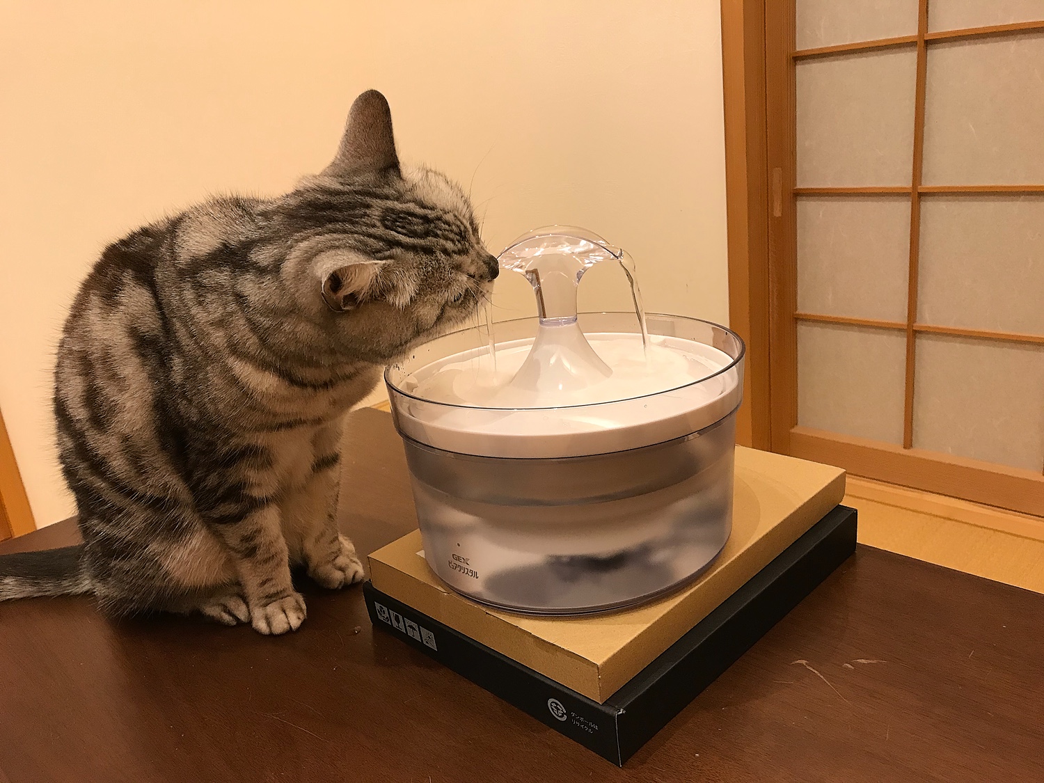 ピュアクリスタル グラッシー 1.5L 猫用  ペット 用品 循環型給水器 フィルター式 給水機 GEX Pure Crystal 22ss  AxFmN5KV6F, ペット用品、生き物 - angelsbailbondsllc.com