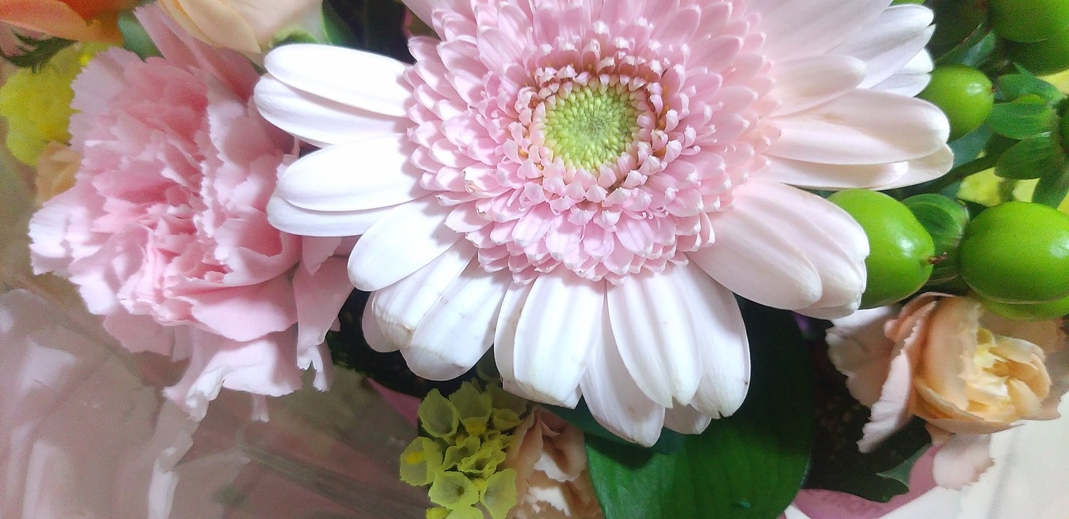 楽天市場 あす楽14時まで受付 バラと季節の花 おまかせ生花アレンジ Mサイズ フラワーアレンジメント 花 ギフト お祝い 誕生日 プレゼント 女性 母 祖母 フラワーギフト おしゃれ お誕生日 お花 即日発送 結婚祝い 送別会 定年 退職祝い 男性 還暦 祝い 卒業祝い 結婚