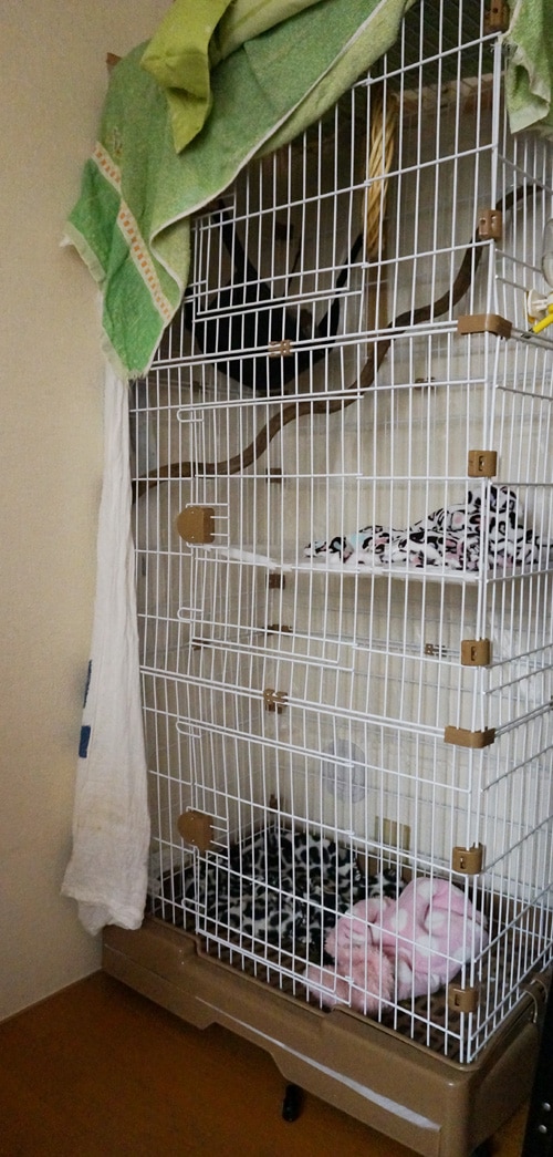 キャットケージ 3段 ステップ台 棚板付き 猫 子猫 ケージ 引き出しトレー ペットケージ ケージ ゲージ 猫 保護猫  キャットケージ 猫ケージ口コミ 3段ケージレビュー レビュー画像14